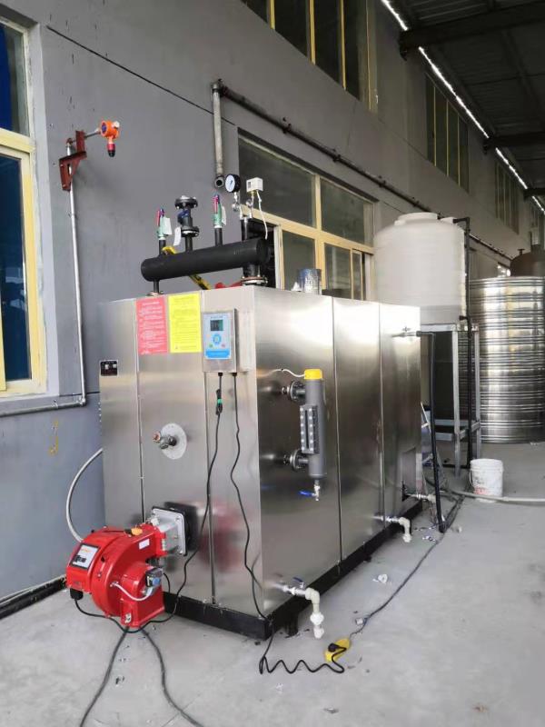 燃气蒸汽发生器